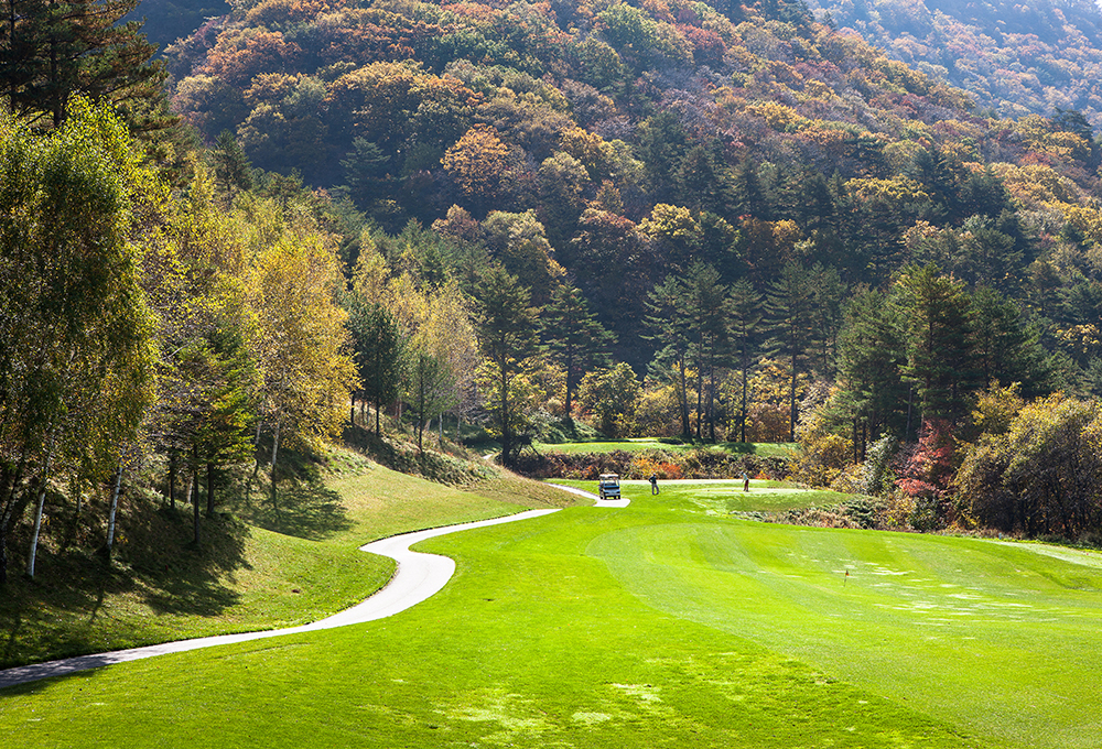 /upload/castletour/image/tourinfo/KR/AF4/castletour_ti0120_30002926.jpg